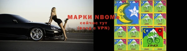 хмурый Няндома