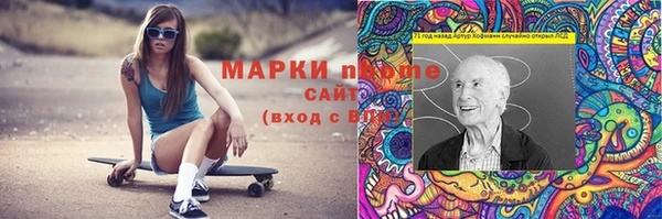 хмурый Няндома