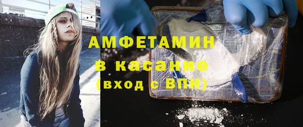 хмурый Няндома
