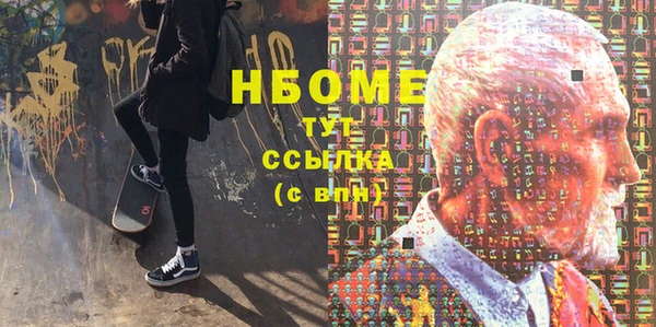 хмурый Няндома