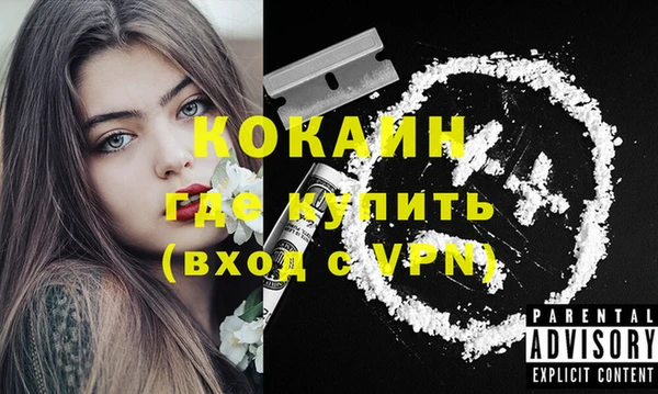 хмурый Няндома