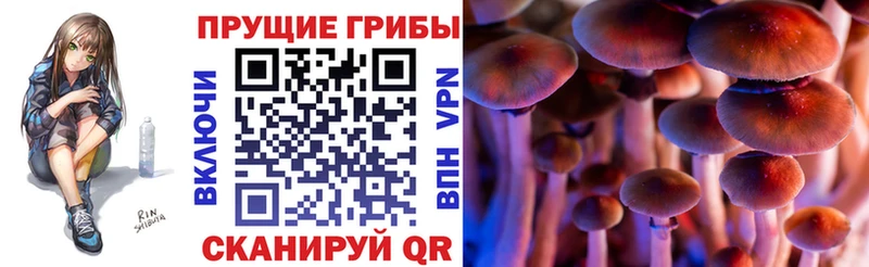 Псилоцибиновые грибы прущие грибы  Петровск 